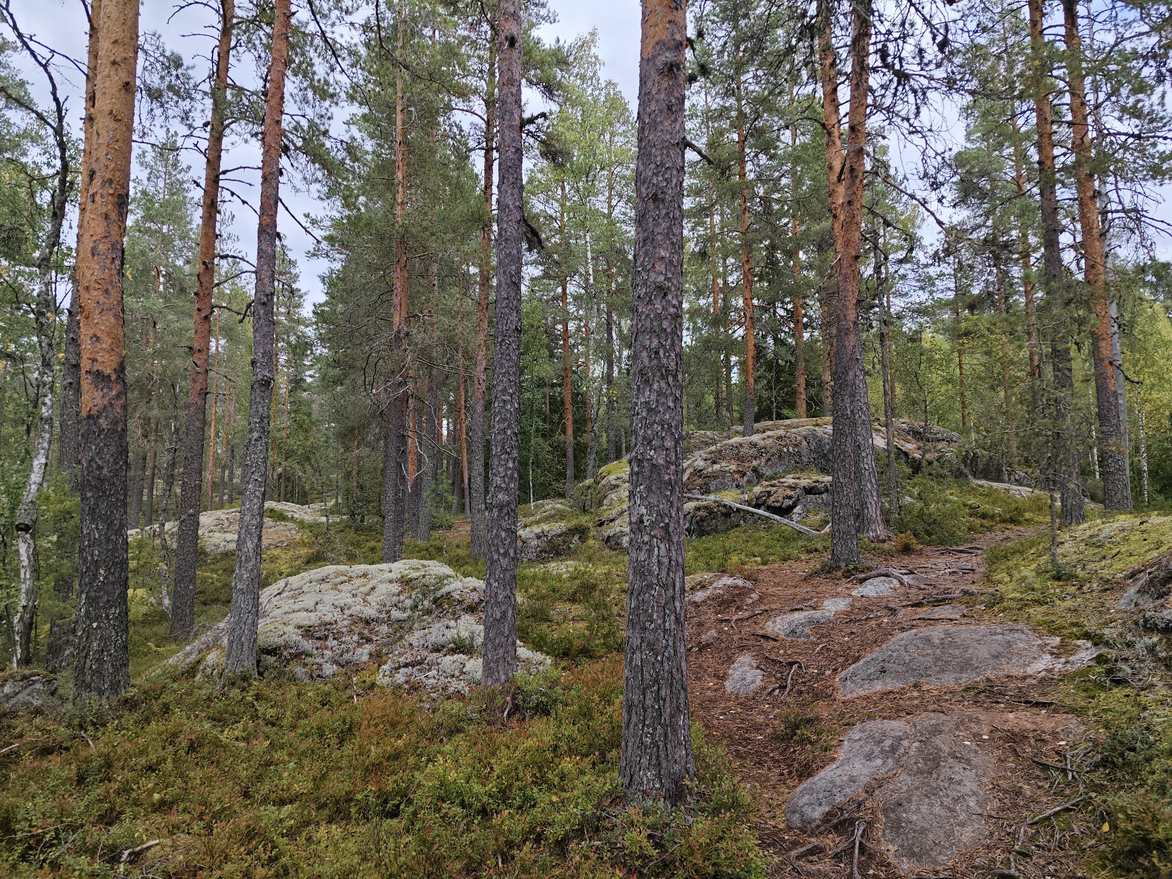 Neitvuori Hill (Neitvuoren reitti)